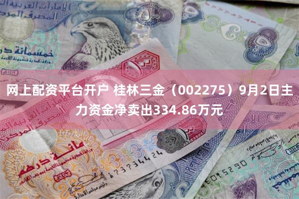 网上配资平台开户 桂林三金（002275）9月2日主力资金净卖出334.86万元