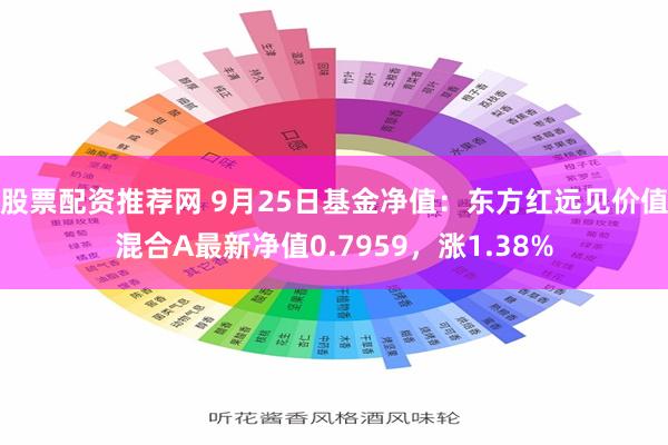 股票配资推荐网 9月25日基金净值：东方红远见价值混合A最新净值0.7959，涨1.38%