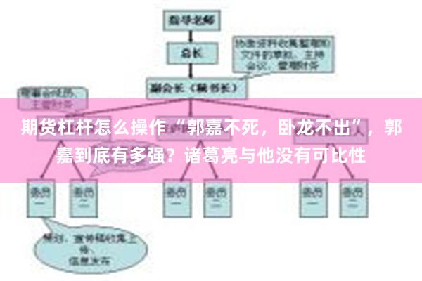 期货杠杆怎么操作 “郭嘉不死，卧龙不出”，郭嘉到底有多强？诸葛亮与他没有可比性