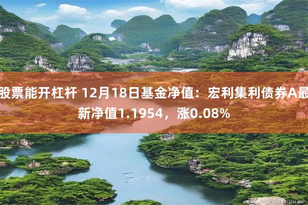 股票能开杠杆 12月18日基金净值：宏利集利债券A最新净值1.1954，涨0.08%