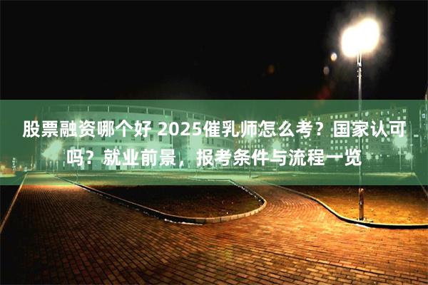 股票融资哪个好 2025催乳师怎么考？国家认可吗？就业前景，报考条件与流程一览