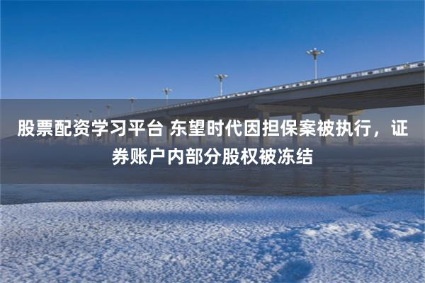 股票配资学习平台 东望时代因担保案被执行，证券账户内部分股权被冻结